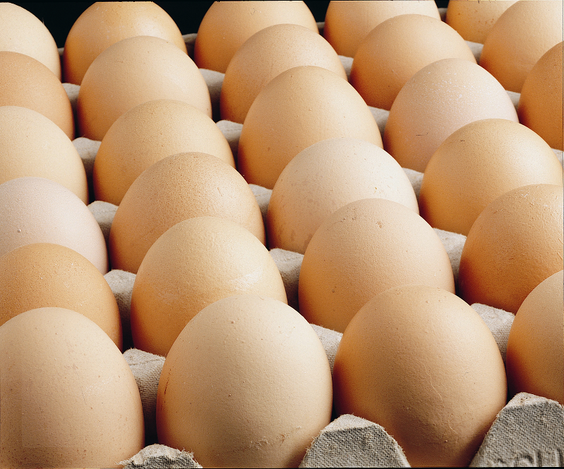 Ege Su Ürünleri ve Hayvansal Mamuller İhracatçıları Birliği Başkanı Bedri Girit;“İçimizde çürük yumurtalar varsa ayıklansın”