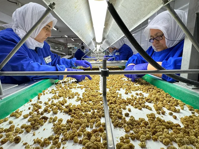Türk organik sektörünün yeni ihracat hedefi 2 milyar dolar