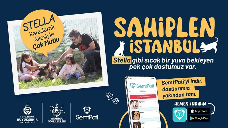 “SAHİPLEN İSTANBUL” İLE DOSTLARIMIZ YENİ YUVALARINA KAVUŞUYOR