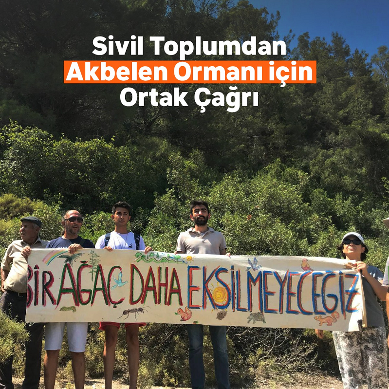 Akbelen Ormanı’nın korunması için sivil toplum kuruluşlarından ortak çağrı!