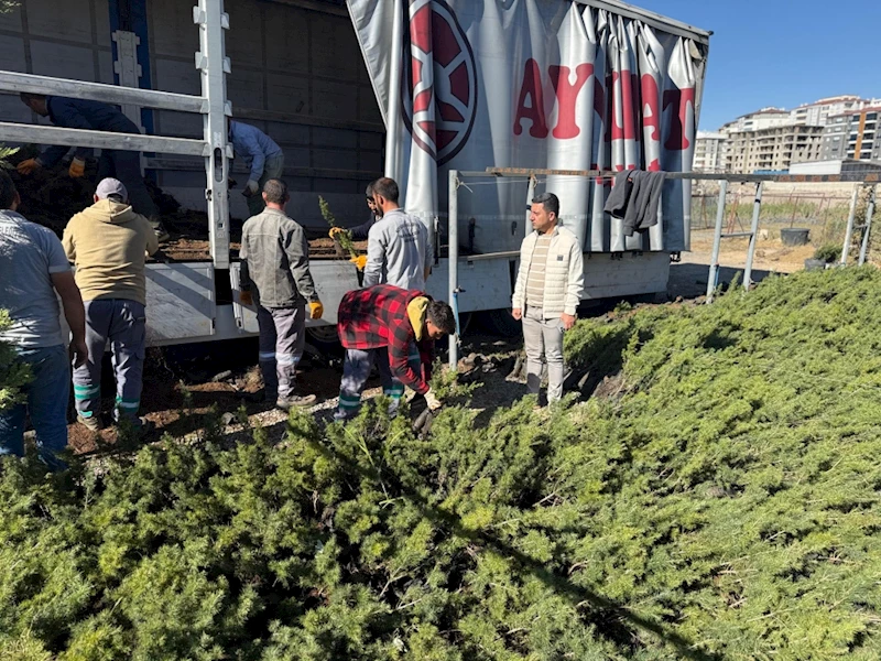 Nevşehir Tarihinin En Büyük Ağaçlandırma Seferberliği Başlıyor