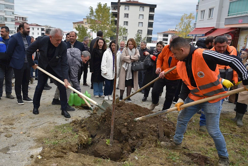 Atakum yeşile bürünüyor