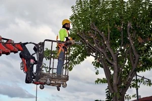 YALOVA BELEDİYESİ KIŞ HAZIRLIKLARINI SÜRDÜRÜYOR