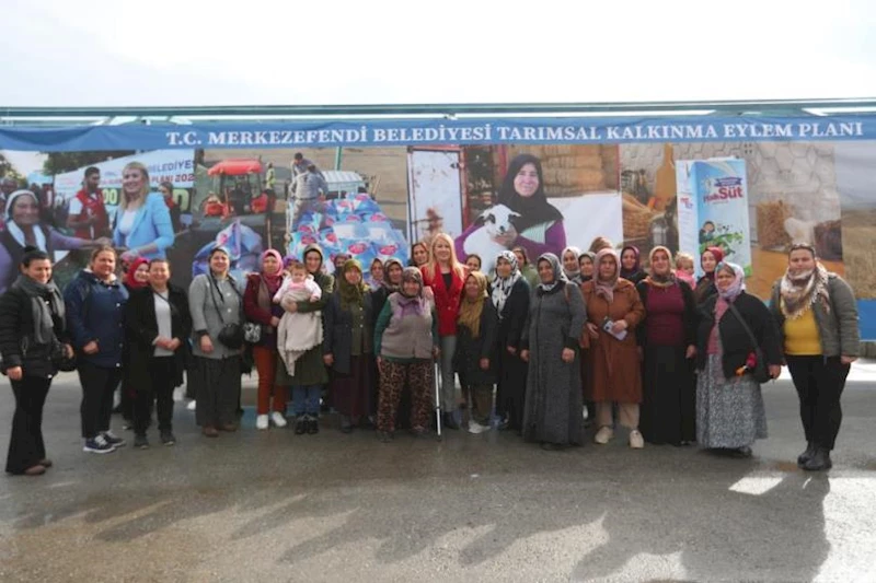 5 Koyun 1 Koç ve 6 Aylık Yem Desteği Başvuruları Başladı