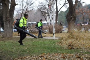 Ağaçlardan Dökülen Yaprakların Temizliğini Özenle Yapıyoruz