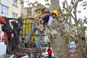 YALOVA BELEDİYESİ KIŞ HAZIRLIKLARINI TAMAMLIYOR