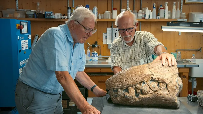 Kahraman Cerrahların Hastalarını Yaşama Döndürme Mücadelesi BBC Earth Ekranlarında