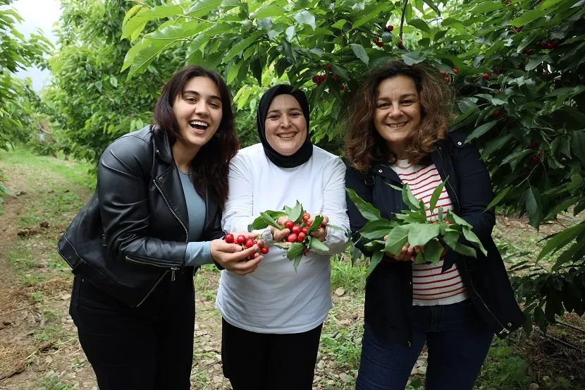 Kiraz hasat şenliğine gençler enerji kattı