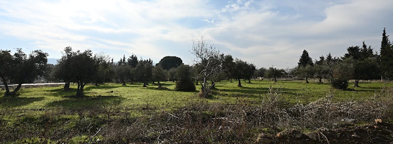 Çanakkale Belediyesine Ait Taşınmaz, Aile Sağlığı Merkezine Dönüşecek